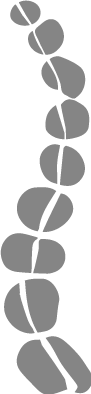 wirbel